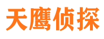 嘉禾市侦探公司